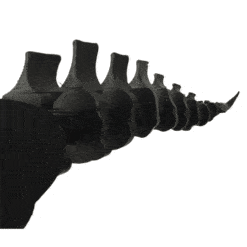 ALIEN tail and Fox tail by the tail company