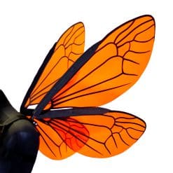 Alternative view of Moving Bee Wings