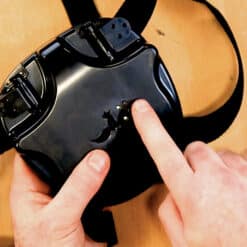 FlutterWings Creators Edition