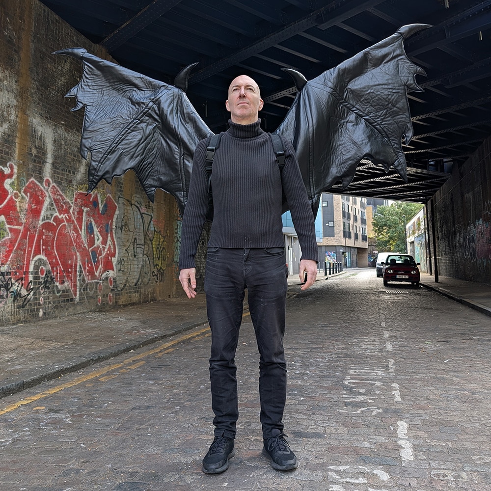 Alternative view of Dragon MiWings