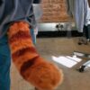 red panda tail by the tail company