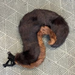 Alternative view of Giant Squirrel Tails